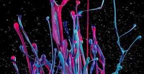 Foto: (Imagem sem texto alternativo disponivel ID [321879])