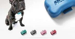 Foto: (Imagem sem texto alternativo disponivel ID [1896168])