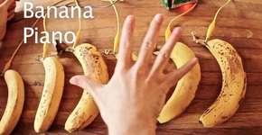 Estudantes do MIT transformam frutas, animais e até humanos em teclados