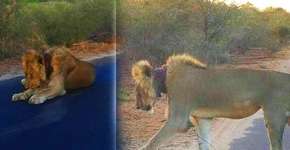 Foto: (Imagem sem texto alternativo disponivel ID [1015286])