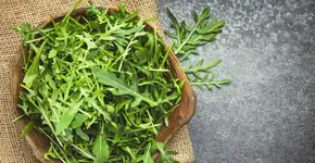 Foto: (Divulgação)