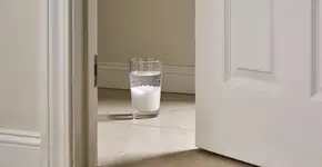 Foto: (Imagem sem texto alternativo disponivel ID [2693003])