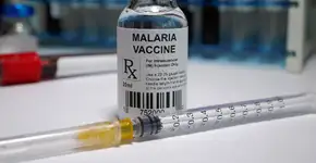 OMS recomenda aplicação generalizada da 1ª vacina contra malária
