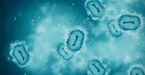 Foto: (Vertigo3d/istock)