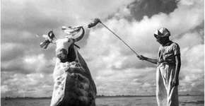 Foto: (Imagem sem texto alternativo disponivel ID [1028763])