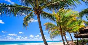 Foto: (Divulgação)