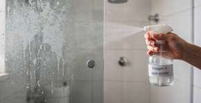 Foto: (Imagem sem texto alternativo disponivel ID [2726774])