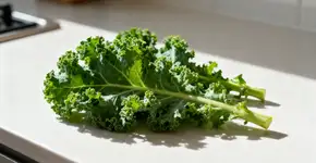 Foto: (Imagem sem texto alternativo disponivel ID [2672113])