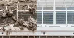 Foto: (Imagem sem texto alternativo disponivel ID [2671408])