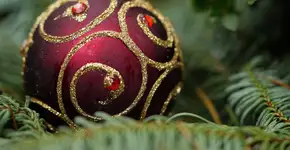 Natal inclusivo e solidário encanta o Mauá Plaza com a chegada do Papai Noel e uma decoração mágica inspirada em “O Mágico de Oz”