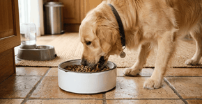 Foto: (Imagem sem texto alternativo disponivel ID [2770717])