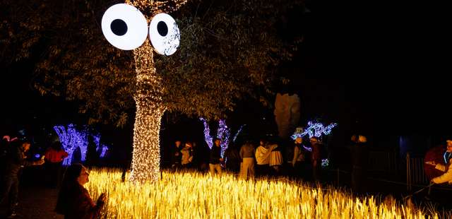 Festival Brilha Sonhos