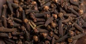 O benefício íntimo do cravo-da-índia que é perfeito para os homens