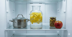 Foto: (Imagem gerada por IA/Gemini)