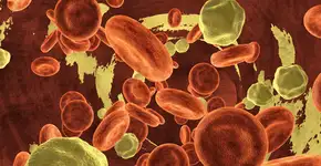 Foto: (Depositphotos/beawolf)