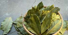 Foto: (Imagem gerada por IA/Gemini)