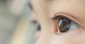 Foto: (Laikwunfai/istock)