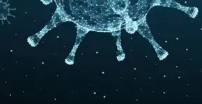 Estes tipos de câncer se desenvolvem de forma silenciosa