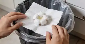 Foto: (Imagem sem texto alternativo disponivel ID [2680230])