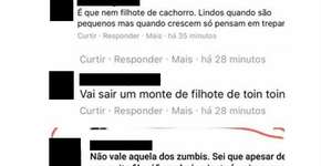 Foto: (Imagem sem texto alternativo disponivel ID [1359851])