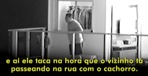 Homem dá tiros de airsoft nos cachorros dos vizinhos em SP