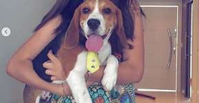 Maísa fala sobre ser vegetariana: ‘Tenho mais empatia pelos animais’