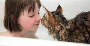 Gato terapêutico ajuda dona de cinco anos com autismo