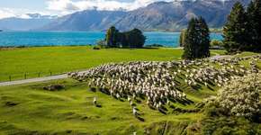 Foto: (Imagem sem texto alternativo disponivel ID [1394210])