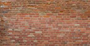 Foto: (Getty Images/iStockphoto)