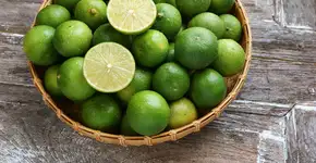 Foto: (Imagem sem texto alternativo disponivel ID [2607131])