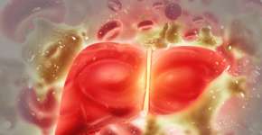 Foto: (Mohammed Haneefa Nizamudeen/istock)