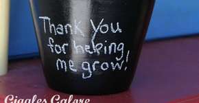 Foto: (Imagem sem texto alternativo disponivel ID [1608073])