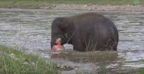 Foto: (Imagem sem texto alternativo disponivel ID [1150428])