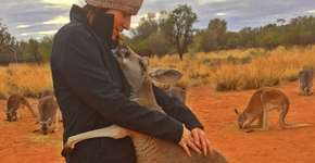 Este canguru resgatado abraça todos os dias seu tutor