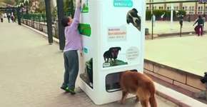 Totem troca garrafas por ração para animais de rua