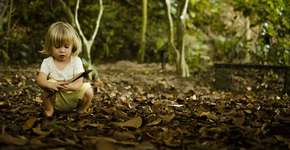 Natureza deve se tornar um espaço educador para as crianças