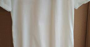 Foto: (Imagem sem texto alternativo disponivel ID [1538585])