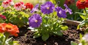 Foto: (Imagem sem texto alternativo disponivel ID [2673357])