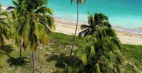 3 dias em São Miguel dos Milagres