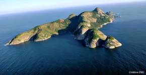 Novas áreas de preservação ajudam a conservar a natureza do litoral norte de SP