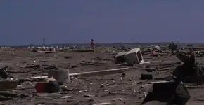 2ª Mostra Ecofalante exibe filmes com temática ambiental