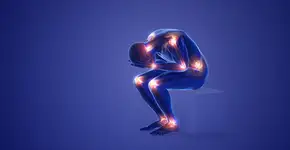 Foto: (Cinefootage Visuals/istock)