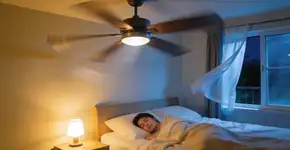 Foto: (Imagem sem texto alternativo disponivel ID [2677308])