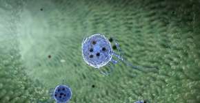 Foto: (Ugreen/istock)