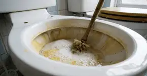 Foto: (Imagem sem texto alternativo disponivel ID [2765397])