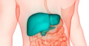 Foto: (magicmine/istock)