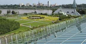 Foto: (Imagem sem texto alternativo disponivel ID [1393853])