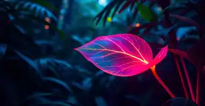 Exposição ‘Floresta Utópica’