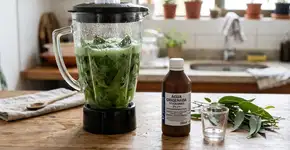 Liquidificar folhas de eucalipto e água oxigenada: Uma mistura poderosa que tem uma grande função para higienizar colchões e travesseiros