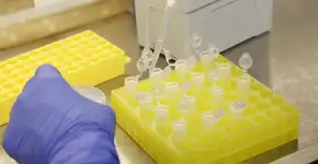 ‘Encontre Seu Pai Aqui’ oferece teste de paternidade gratuito em SP